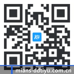 系统版 iOS 二维码